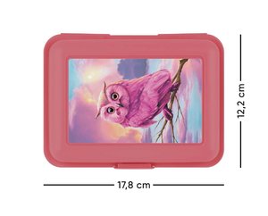 Box na desiatu Sova-2