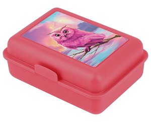 Box na desiatu Sova-1