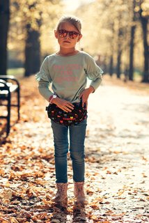 Ledvinka Albany Badges green-2