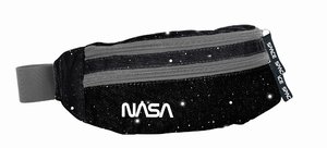 Ľadvinka NASA-1