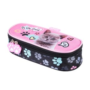 Školské púzdro Cat-1