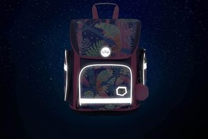 Školská aktovka Ergo Chameleon-13