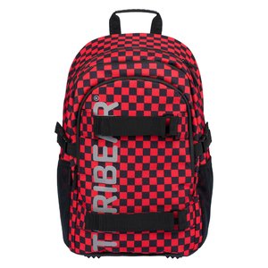 Školský batoh Skate TERIBEAR-13