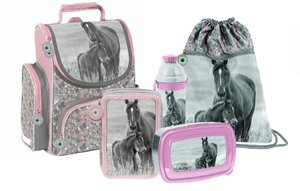 Školský set Kone šedo-ružový 5dielny-1