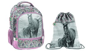 Školský set Kone šedý-1