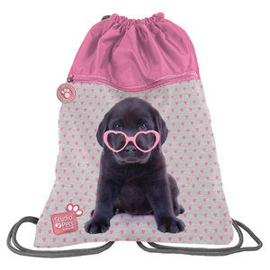 Vak na chrbát Pes v okuliaroch pevný-1