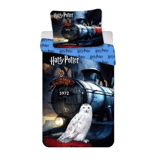 Obliečky Harry Potter 111HP-1