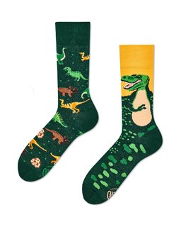 Ponožky klasik The dinosaurs 43-46-1