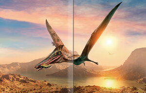 Veľký obrazový sprievodca SVETOM DINOSAUROV-5