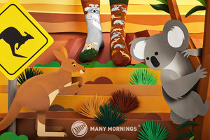 Ponožky klasik Koality time 35-38-2