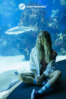 Ponožky klasik Ocean life 39-42-5