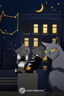 Ponožky nízke Black cat low 43-46-2