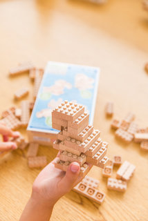Eco-bricks 3v1 Exotické vtáctvo-4