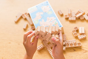 Eco-bricks 3v1 Exotické vtáctvo-5