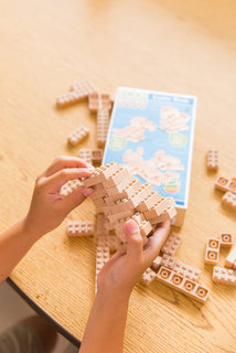 Eco-bricks 3v1 Exotické vtáctvo-6