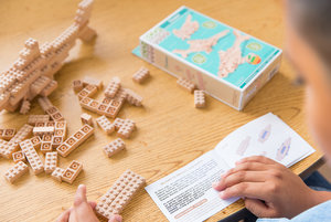 Eco-bricks 3v1 Oceány-5