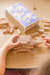 Eco-bricks 3v1 Zvieratká-5