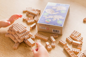 Eco-bricks 3v1 Zvieratká-6