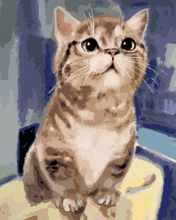 Maľovanie podľa čísel - Zvedavá mačka-1
