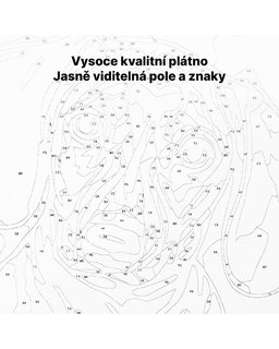 Maľovanie podľa čísel Groot s rukavicou nekonečna-6