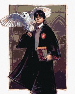 Maľovanie podľa čísel Harry Potter a Hedviga v Rokforte-1