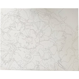 Maľovanie podľa čísel Kvety 40x50 cm-2