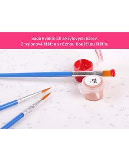 Maľovanie podľa čísel Marilyn v čiernych šatách-5