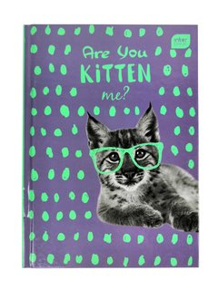 Zápisník Are you kitten me? A5, 96 listov, čistý-1