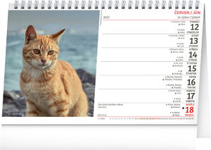 Stolný kalendár Mačky – Mačky SK/SK 2023-2