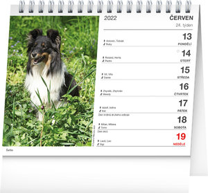 Stolový kalendár Psy - s menami psov 2022, 16,5 × 13 cm-2