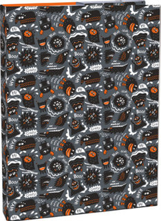 Box na zošity s chlopňou A4 Cartoons-1