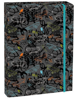 Box na zošity s chlopňou A4 Skate-1