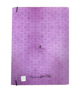 Dosky na zošity A4 Purrrrrfect Pals-2