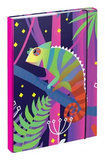 Dosky na školské zošity A4 Chameleon-1