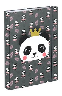 Dosky na školské zošity A5 Panda-1