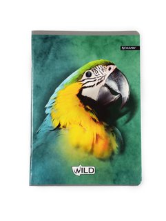 Zošit Wild papagáj, 564-1