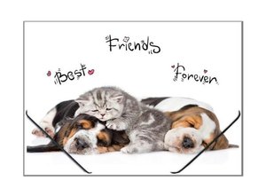 Dosky s gumičkou A4 Animals-1